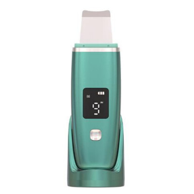 Espátula Ultrasónica Premium Green. Glaps